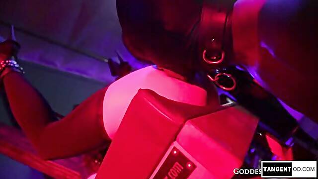 Sexual doxies BDSM porn