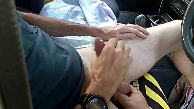 A selection of cocks at the car