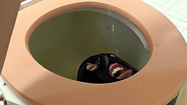 Toilet slave domination