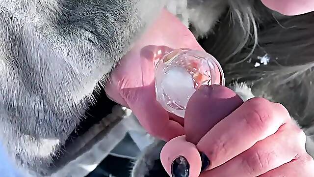 SAKA SAKA SAKA Vilu Vidish Outdoor Jizz flow Compilation