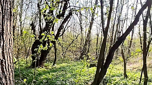 In public a quick blowjob in the forest with oral cum! Delicious!