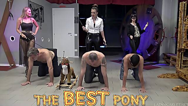 Lady Scarlet - The best pony