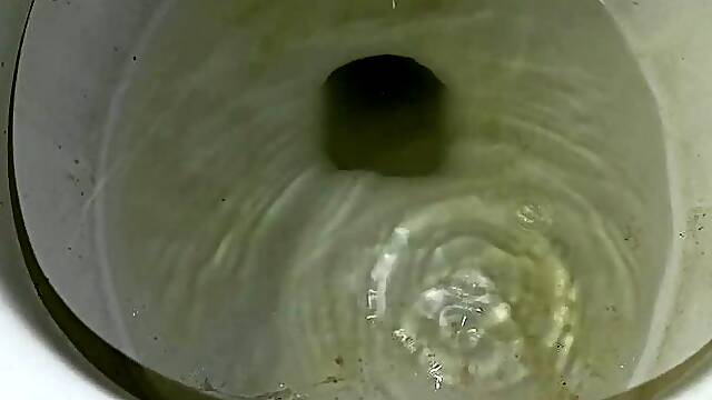 POV TOILET EMESIS