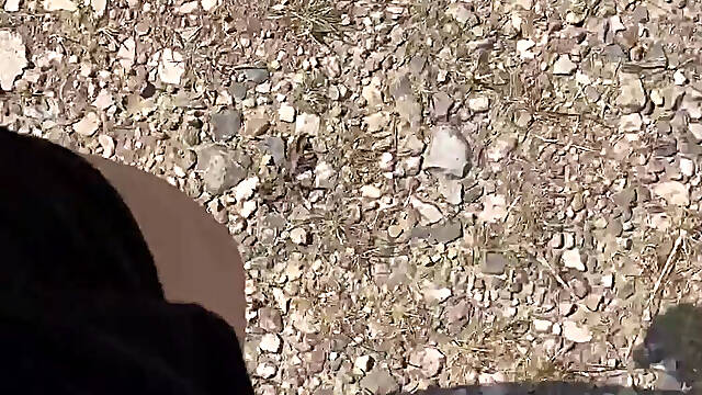 I'm Only Going for a Walk Today for One Reason