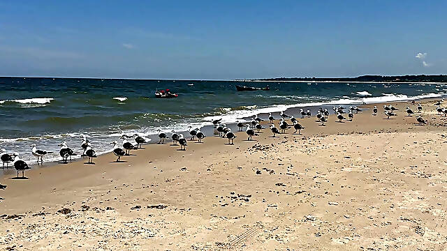 We Travel to the Beach of San Luis