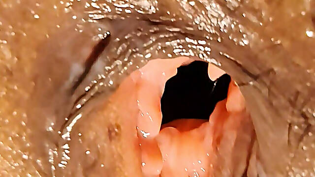 Shruti Bhabhi with a Thick Ass From the Village, Stranger Hit a Lot in the Doggy.